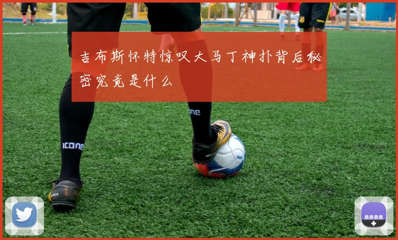 吉布斯怀特惊叹大马丁神扑背后秘密究竟是什么